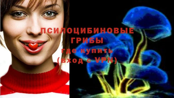 каннабис Инта