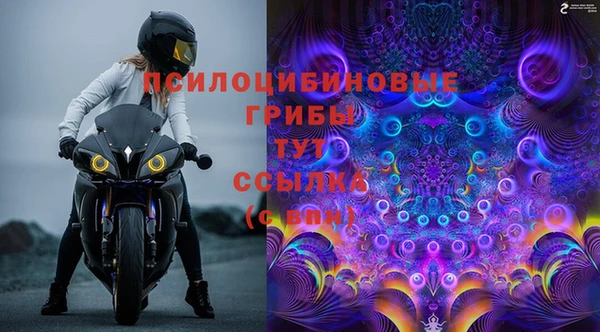каннабис Инта