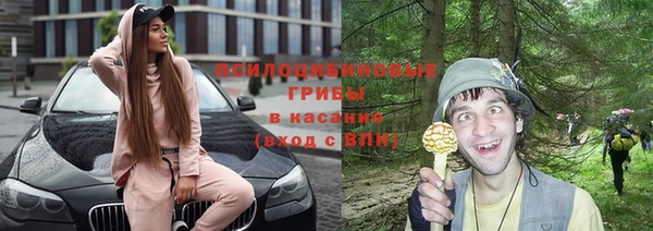 каннабис Инта