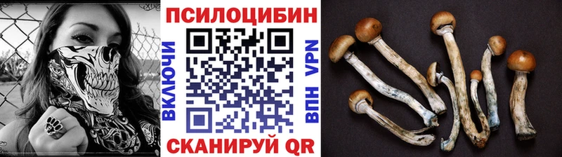 Купить где  Светогорск  Галлюциногенные грибы прущие грибы 